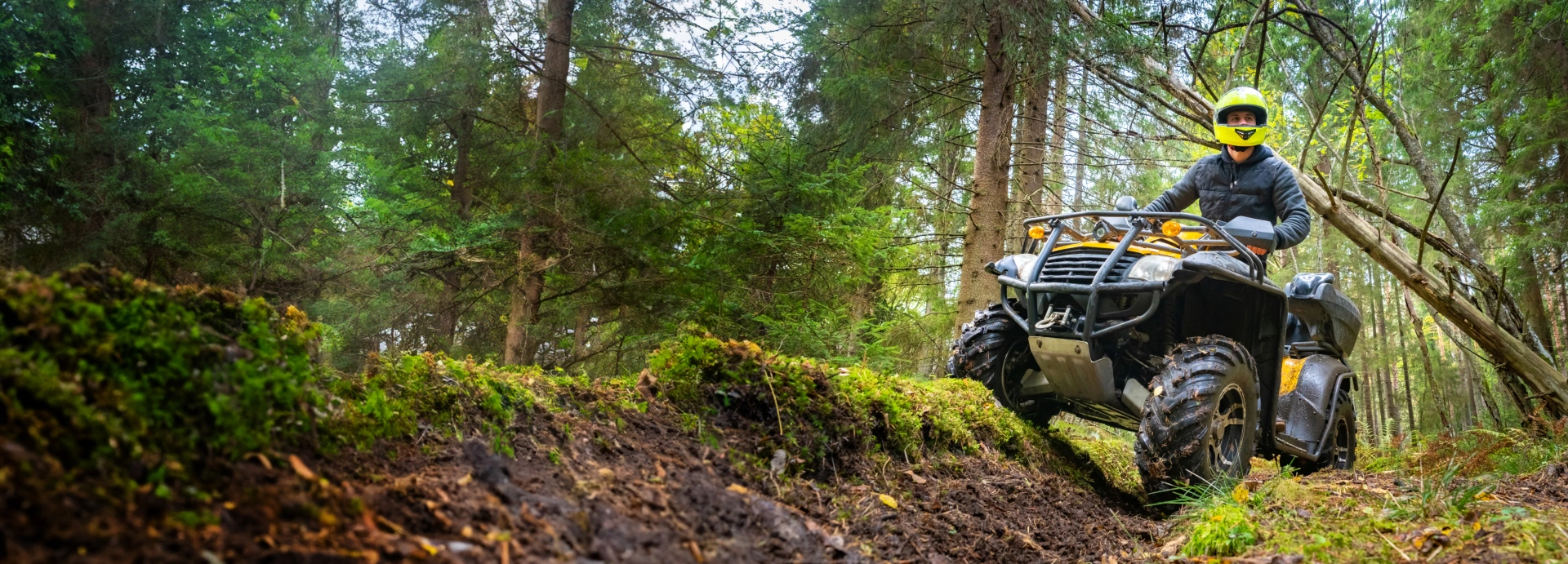 ATV rider driving on a trail in the woods