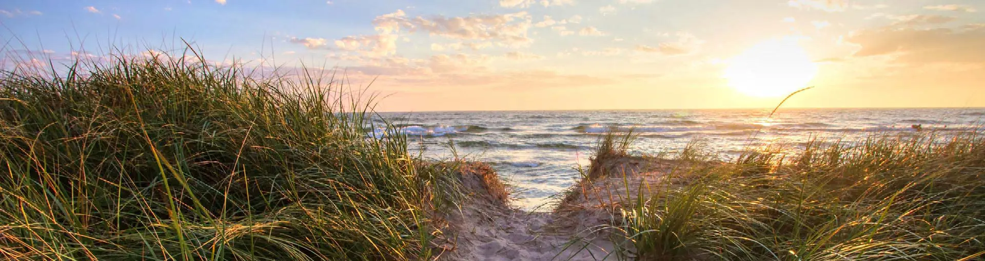 Sandy beach pathway through tall grass leading to the ocean with waves and a golden sunset on the horizon.