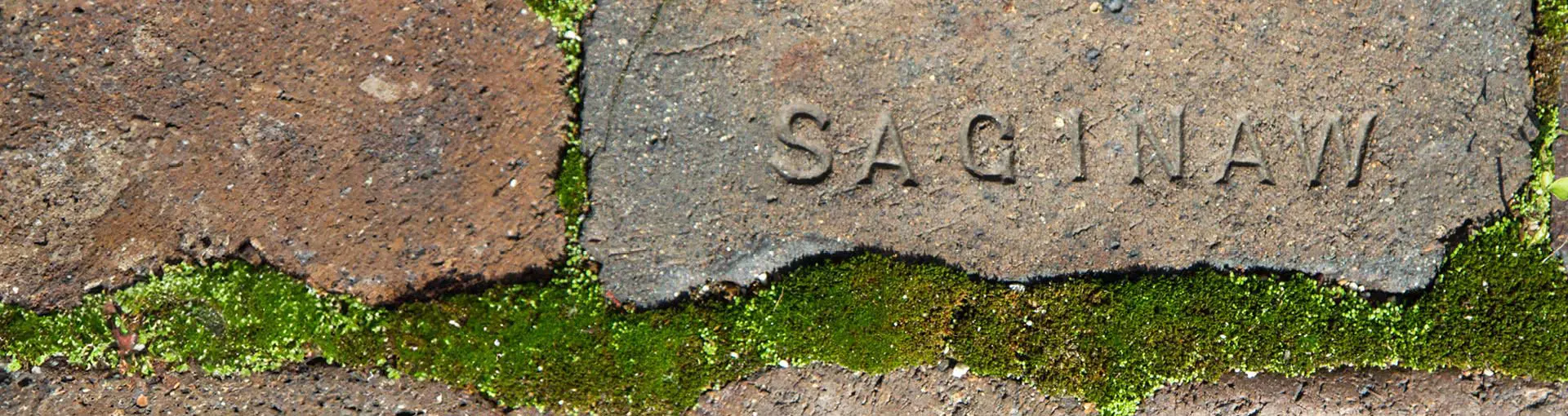 Close-up of a weathered brick with the word "Saginaw" engraved, surrounded by green moss between the bricks.