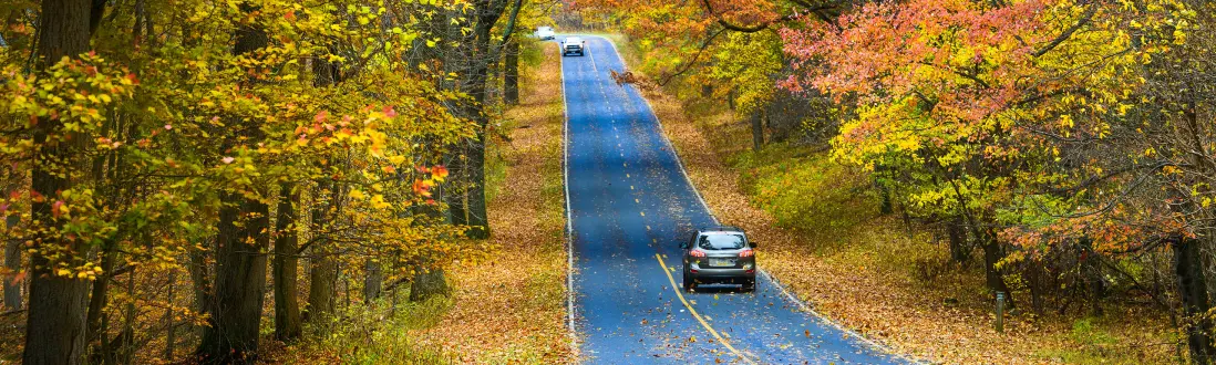 Fall Drive Auto Insurance