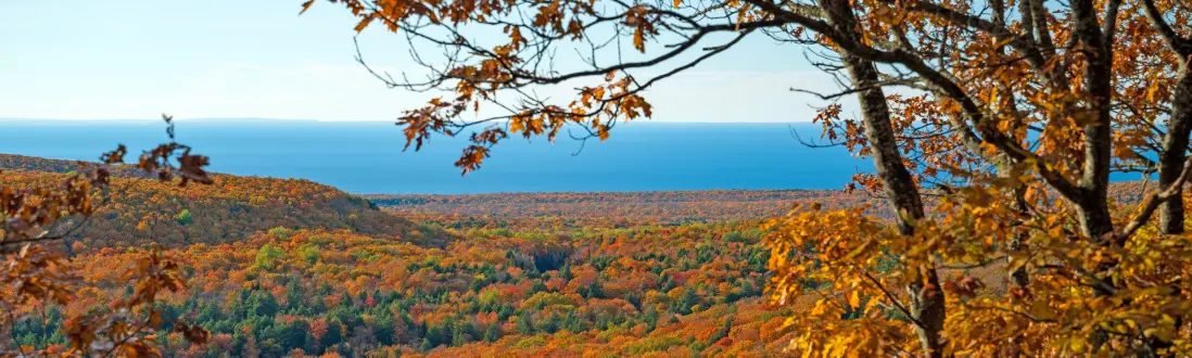 Who We Are Fall